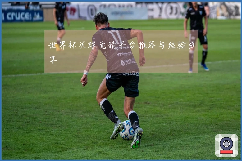 世界杯买球竞猜平台推荐与经验分享