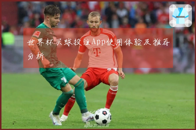 世界杯买球投注App使用体验及推荐分析