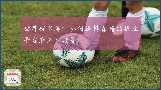 世界杯买球：如何选择靠谱的投注平台和入口指导