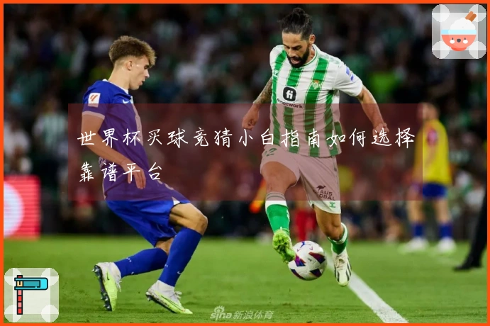 世界杯买球竞猜小白指南如何选择靠谱平台