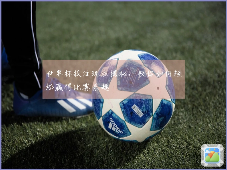 世界杯投注玩法揭秘，教你如何轻松赢得比赛乐趣