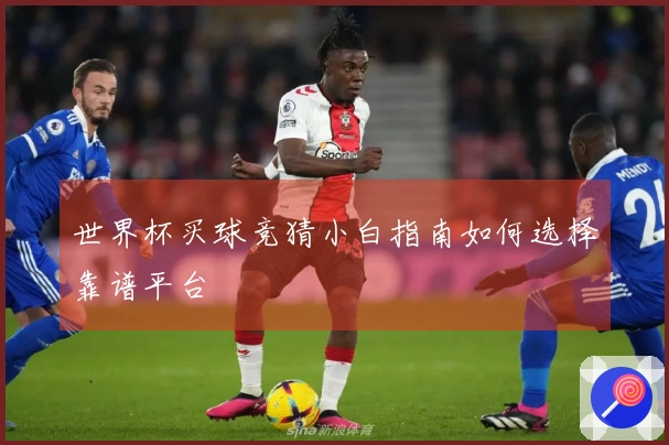 世界杯买球竞猜小白指南如何选择靠谱平台
