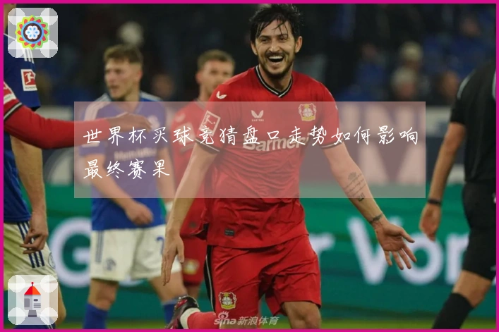 世界杯买球竞猜盘口走势如何影响最终赛果