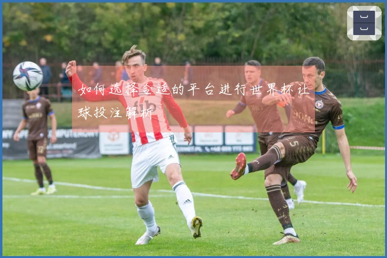 如何选择合适的平台进行世界杯让球投注解析